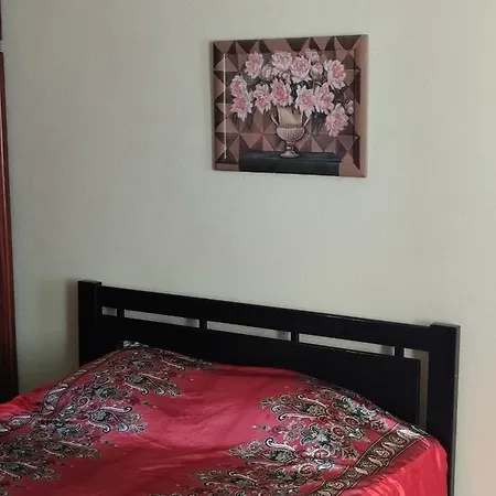 Apartment 1 комнатная в самом центе Odesa