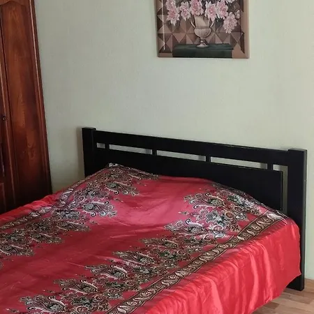 1 комнатная в самом центе Apartment *